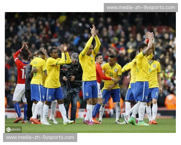 圣彼得堡的夜空与里昂的闪耀：一场足球与文化的双重奏